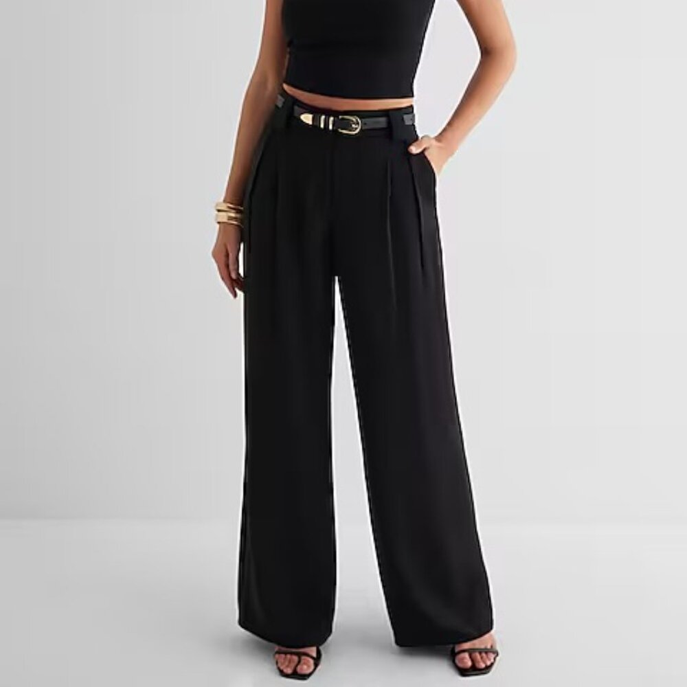 Express Stylist High-Waisted Pleated Wide Leg Pants | Black